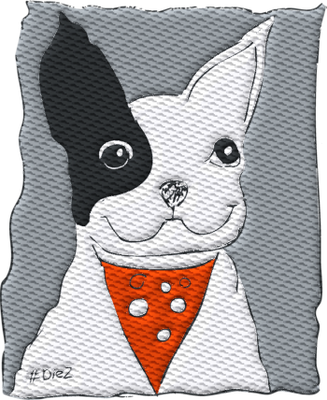 Diez Embroidered